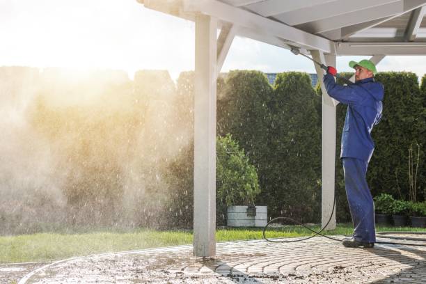 Best Sidewalk and Walkway Cleaning  in Clksville, AR